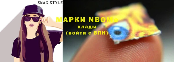 хмурый Надым