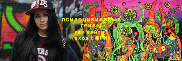 хмурый Надым