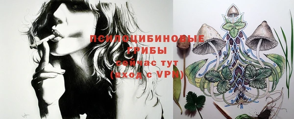 хмурый Надым