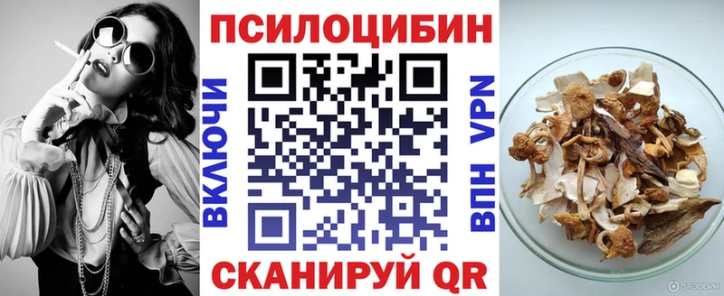 omg tor  Нолинск  Псилоцибиновые грибы мухоморы  как найти закладки 